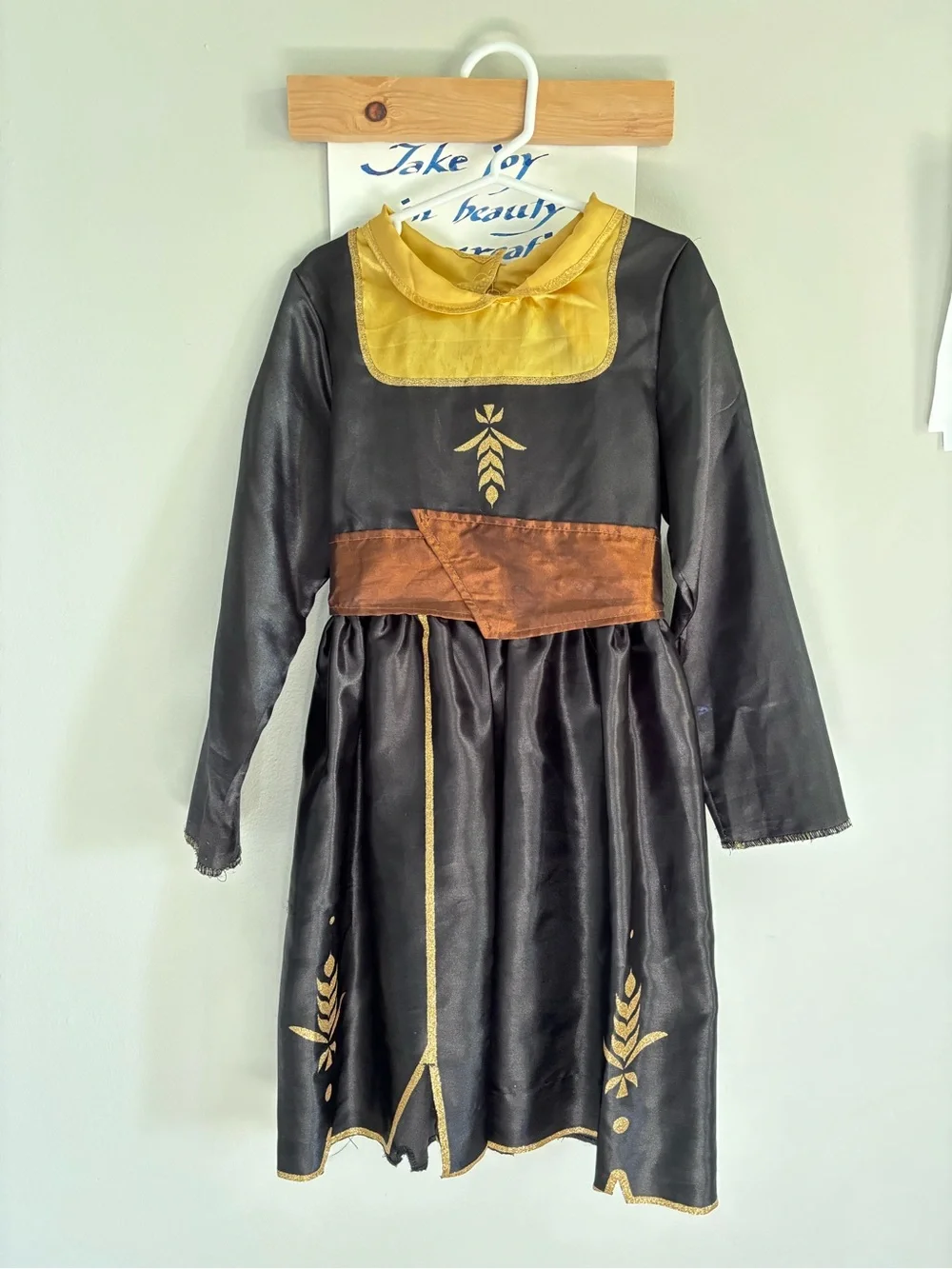 Disney Frozen 2 Anna Travel Dress: Halloween 2 pieces pre-owned